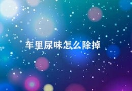 车里尿味怎么除掉(车内去除尿味的方法)