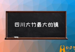 四川省大竹县有哪些镇？(四川大竹最大的镇)