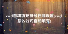 excel自动填充符号在哪设置(excel怎么公式自动填充)