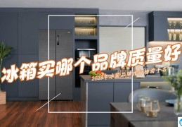 冰箱品牌排名前十名哪个最好(2023冰箱品牌排行榜前十名出炉)