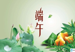 端午节发朋友圈怎么发比较好(端午节发朋友圈文案怎么写)