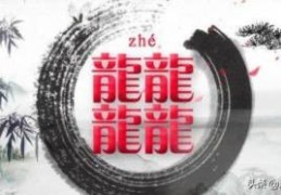 世界上笔画最多的字是什么字？(世界上笔画最多的汉字)