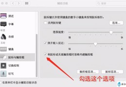 MacBook鼠标不受控制问题的解决方法(鼠标自动点击怎么回事)