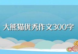 大熊猫优秀作文300字(大熊猫优秀作文范文)