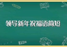 领导新年祝福语简短(适合新年祝福领导的句子)