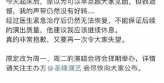 陈奕迅演唱会赔偿方案公布 网友怒了，具体情况如何？