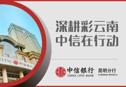 中信银行是世界500强企业吗(中信和光大银行哪个好)