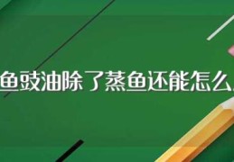 蒸鱼豉油除了蒸鱼还能怎么用(蒸鱼豉油除了蒸鱼还可以怎么用)