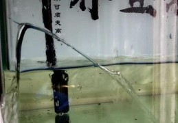 鱼缸漏水怎么修复找漏水点(鱼缸漏水了自行修补的办法)