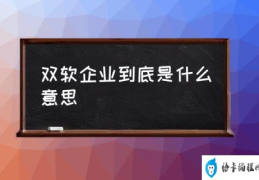 高新双软指的是什么啊？(双软企业到底是什么意思)