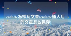 endnote怎样写文章(endnote插入后的文章怎么保存)