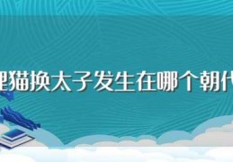 狸猫换太子发生在哪个朝代(狸猫换太子是哪个朝代的呢)