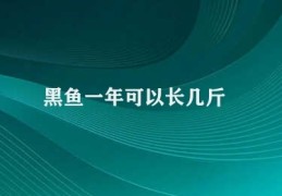 黑鱼一年可以长几斤(黑鱼成长变化)