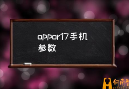 oppo17属于什么手机？(oppor17手机参数)