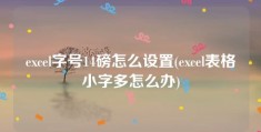 excel字号14磅怎么设置(excel表格小字多怎么办)