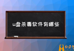 用什么软件对u盘杀毒好？(u盘杀毒软件有哪些)