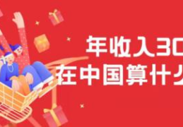 年收入30万在中国有多少人(年收入30万在中国算什么水平)