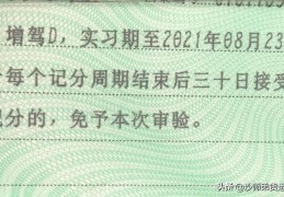 驾驶证年审规定相关法规(驾驶证年审新规定是什么)