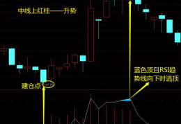 rsi指标详解(通过图片分析指标要点)