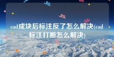 cad成块后标注反了怎么解决(cad标注打断怎么解决)