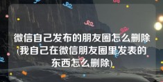 微信自己发布的朋友圈怎么删除(我自己在微信朋友圈里发表的东西怎么删除)