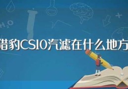 猎豹CS10汽滤在什么地方(猎豹CS10汽滤在发动机舱的蓄电池后方)