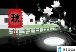 喜欢枫叶的文案(原创枫叶晚秋)