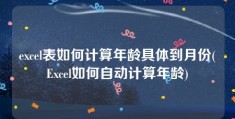 excel表如何计算年龄具体到月份(Excel如何自动计算年龄)