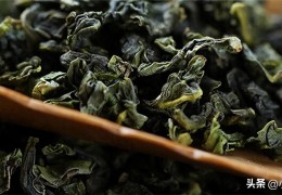 乌龙茶分哪些种类(乌龙茶的种类)