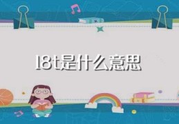 18t是什么意思(在什么地方可以见到)