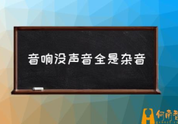 音响没声音怎么设置？(音响没声音全是杂音)