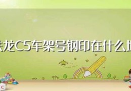 雪铁龙C5车架号钢印在什么地方(什么是车架号)