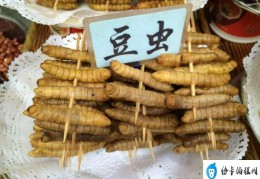 山东五大怪菜：油炸豆虫上榜(你敢吃吗？)