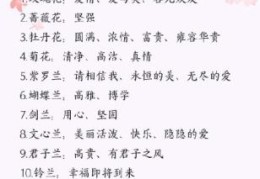 什么花有什么含义?(花的含义有哪些)