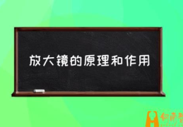 平面放大镜的原理是？(放大镜的原理和作用)