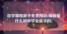 自学编程新手免费网站(编程是什么初中毕业能学吗)