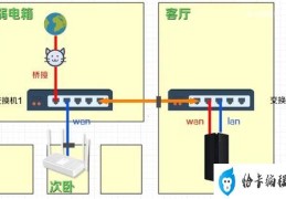 猫和路由器的正确连接方法(猫和路由器的连接方法详解)