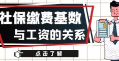 缴费基数6000意味着什么(缴费基数就是工资吗)