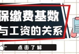 缴费基数6000意味着什么(缴费基数就是工资吗)