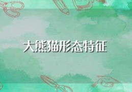 大熊猫形态特征(大熊猫形态特征是什么)