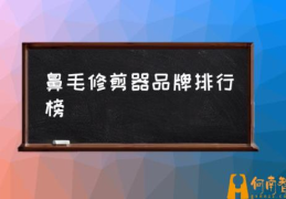 鼻毛修剪器品牌排行榜(鼻毛修剪器的正确使用方法？)