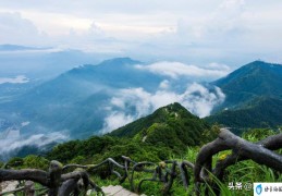 深圳有哪些山(深圳有哪些公园)