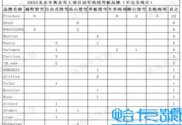 17大雪板品牌神仙打架(滑雪单板品牌排行榜)