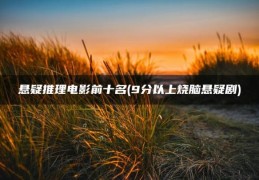 9分以上烧脑悬疑剧(悬疑推理电影前十名)