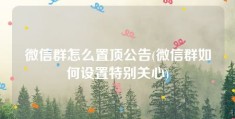 微信群怎么置顶公告(微信群如何设置特别关心)