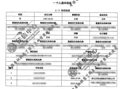 怎么看征信有没有问题(征信报告怎么看)