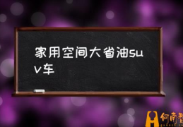 家用空间大省油suv车(空间大的轿车前十名？)