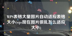 WPS表格大量图片自动适应表格大小(wps现在图片很乱怎么适应大小)