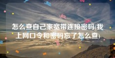 怎么查自己家宽带连接密码(我上网口令和密码忘了怎么查)