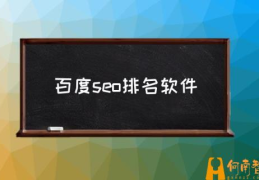 什么是自然排名（SEO）？(百度seo排名软件)